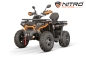 Preview: NITRO MOTORS 230cc maxi Quad Tricia CVT RS10 Platin inkl. Seilwinde